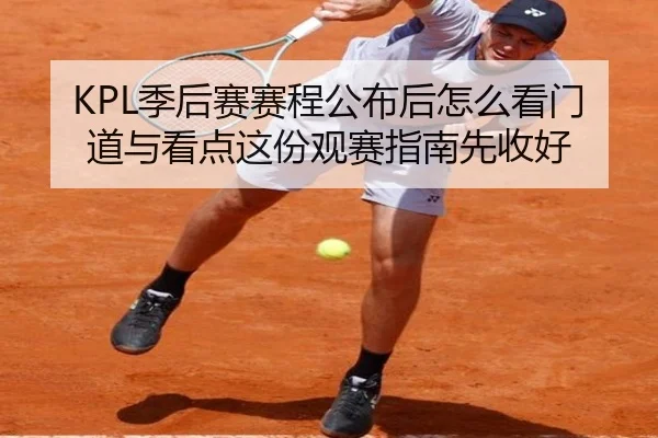 KPL季后赛赛程公布后怎么看门道与看点这份观赛指南先收好